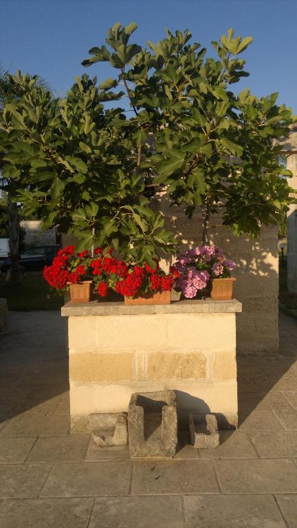 Masseria Grande Hotel Torre dell'Orso Kültér fotó